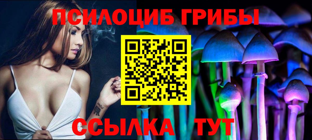 Нальчик  купить наркотик  Вход с VPN  Псилоцибиновые грибы MAGIC MUSHROOMS 