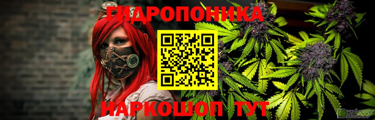 Бошки Шишки Amnesia  Вход с VPN  Нальчик  Бошки марихуана Amnesia  Шишки марихуана планчик  Каннабис OG Kush 